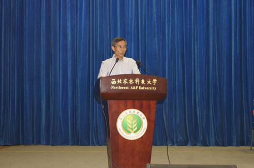 武波教授讲话 武波教授讲话